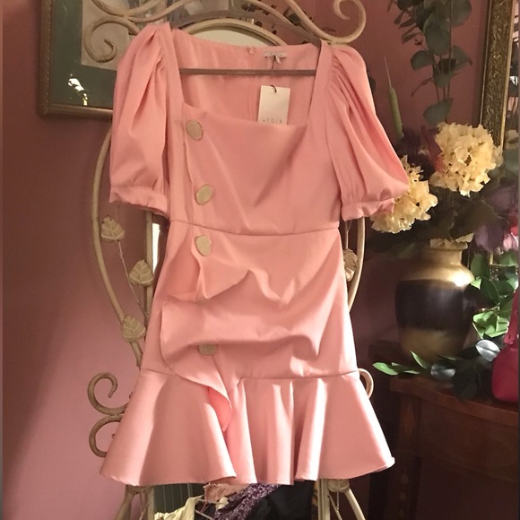 Atoir Ask Me to Stay Mini Dress in French Rose. Size 4. NWT’S - Picture 6 of 6